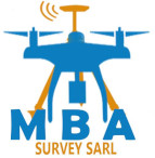Logo MBA SURVEY